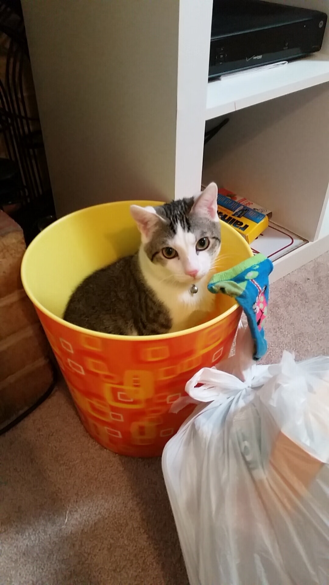 开云官网首页-NBA官方推出新广告系列，篮球魅力全球传播，nba最新广告