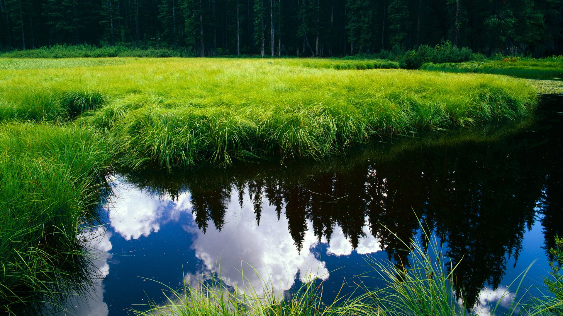 “意甲引援潮:新援加盟,助力争冠大业”,意甲赞助