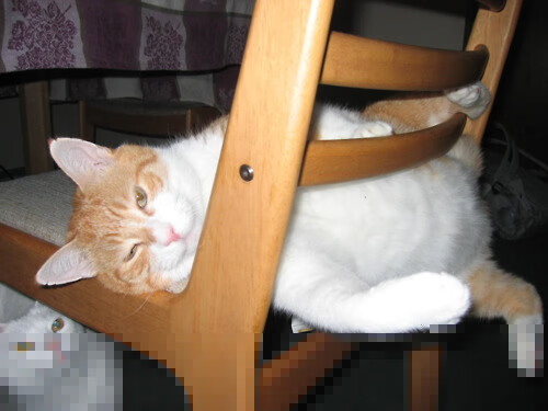 “英超新星崭露头角,逐渐成为球队核心”,2020英超十大新星