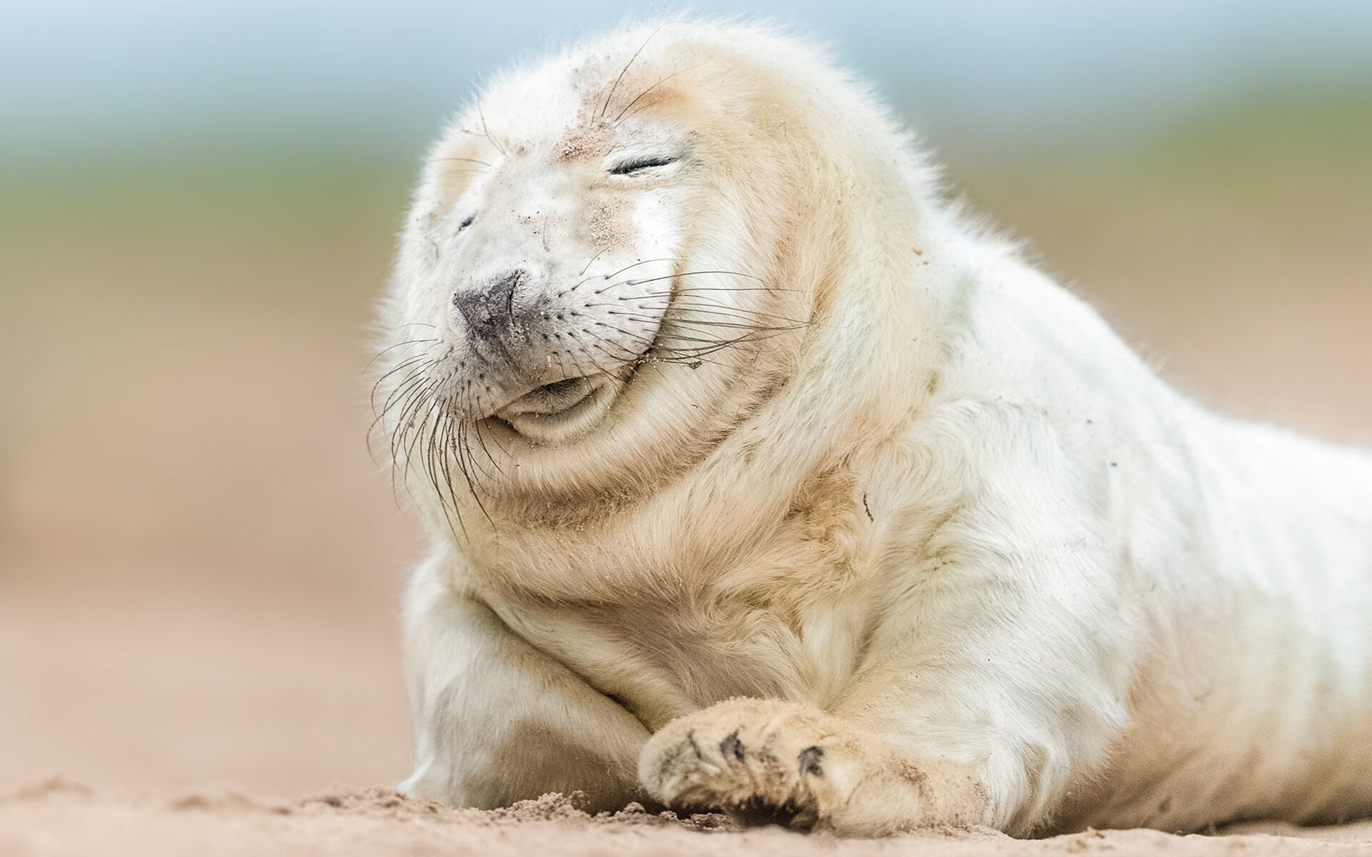 《英雄联盟洲际大战，豪强逐鹿荣耀巅峰》，lol洲际赛2021赛程