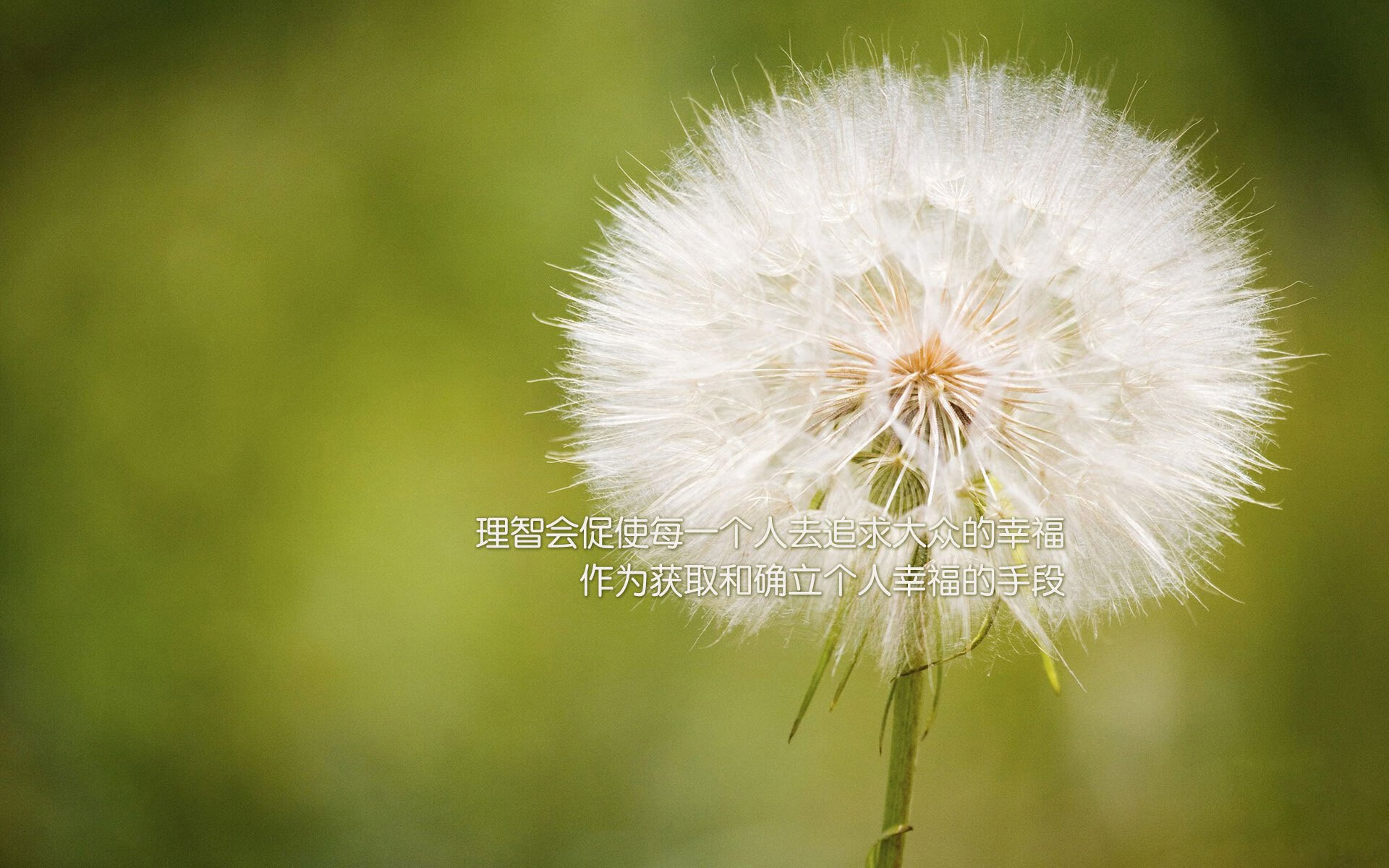 kaiyun.com-历史瞬间：那些年球队赢得冠军的经典时刻，有没有球队全胜夺冠