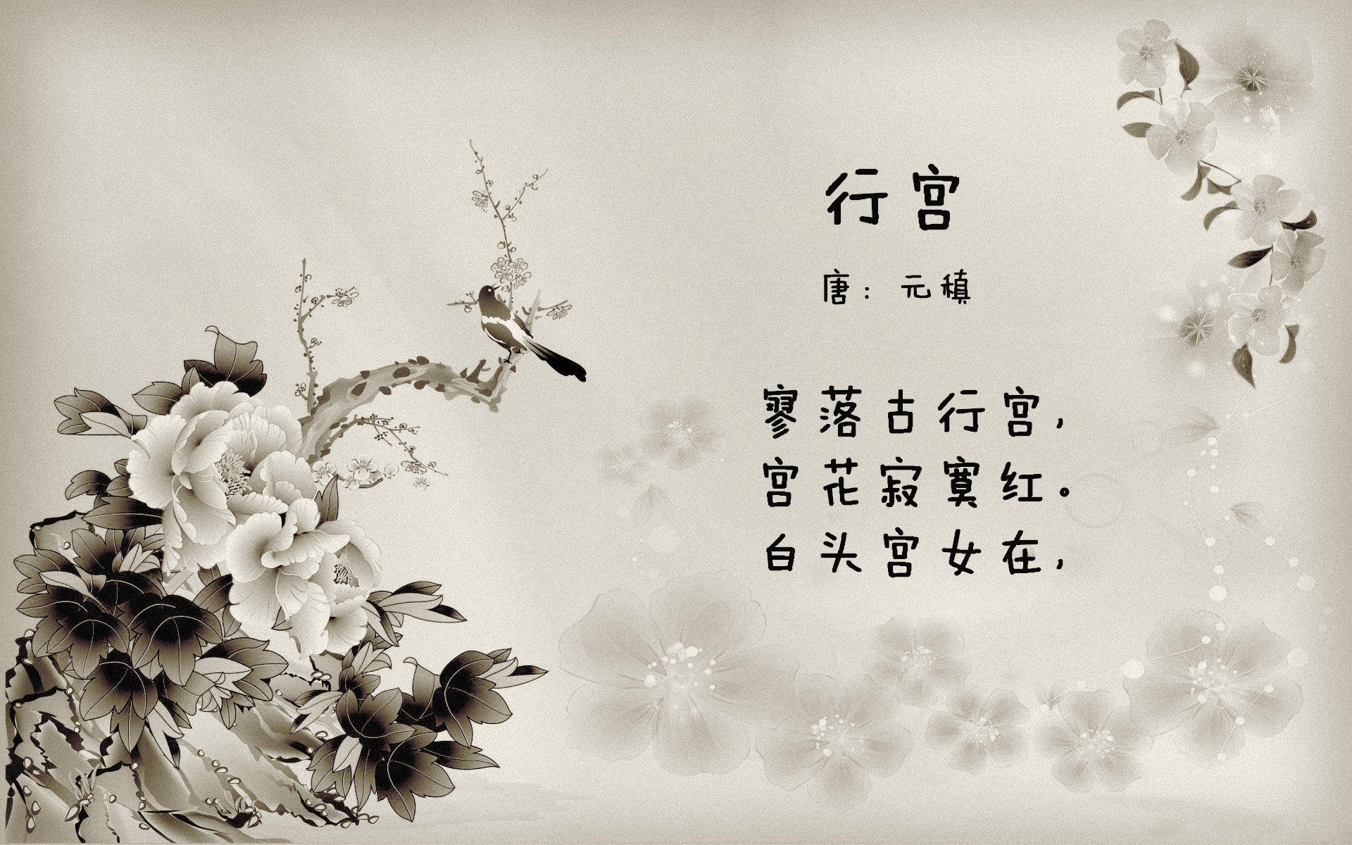 球场内外的故事：NBA球员的公益事业持续升温，nba球员场外收入