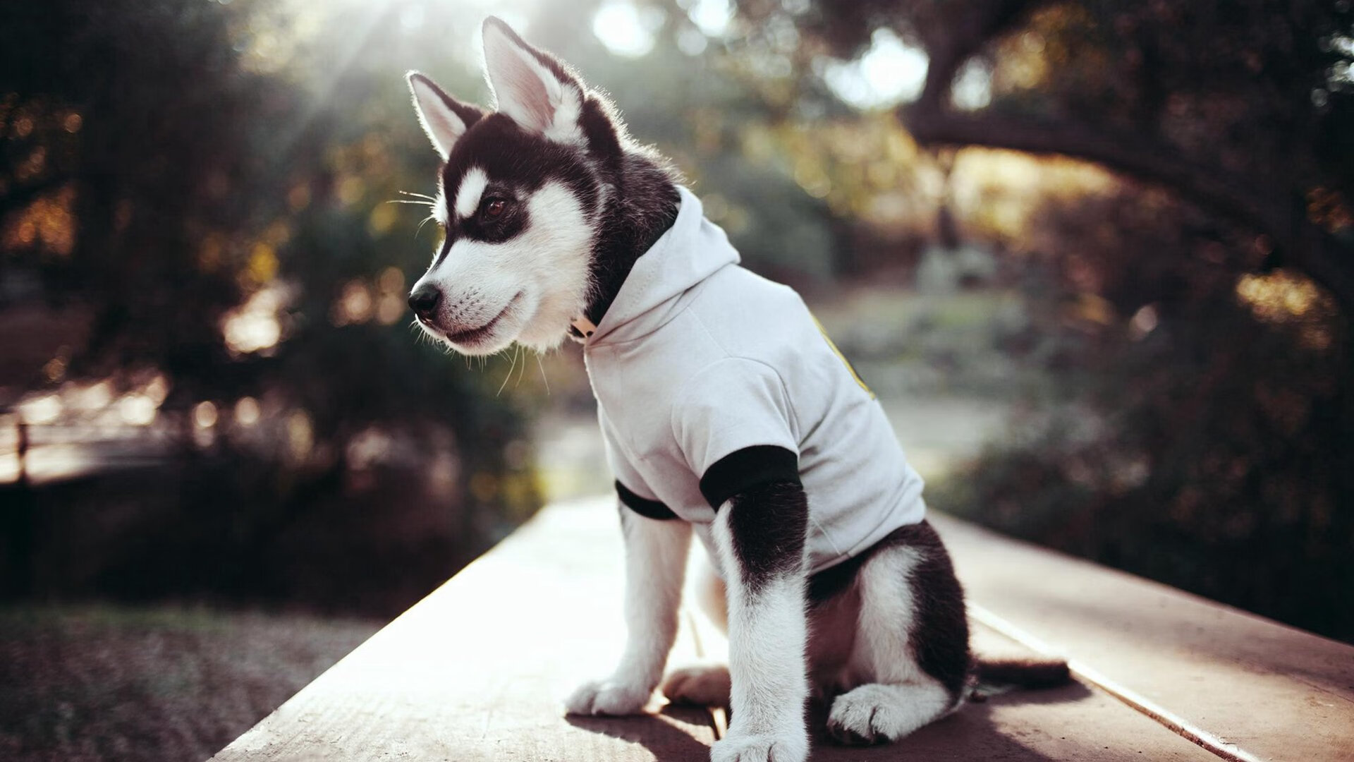 篮球训练方法结合数据分析精准指导,篮球训练方法和训练手段有哪些