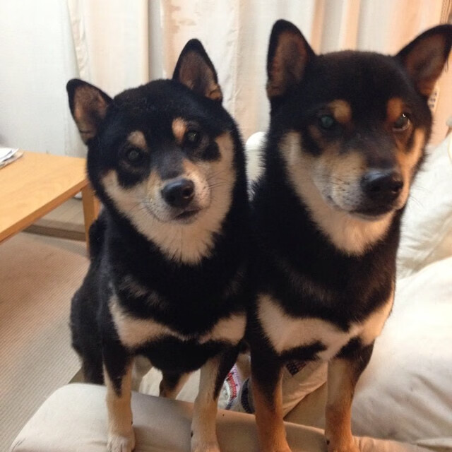 开云网站-篮球训练科技助力运动员技能精准提升，篮球技能培训