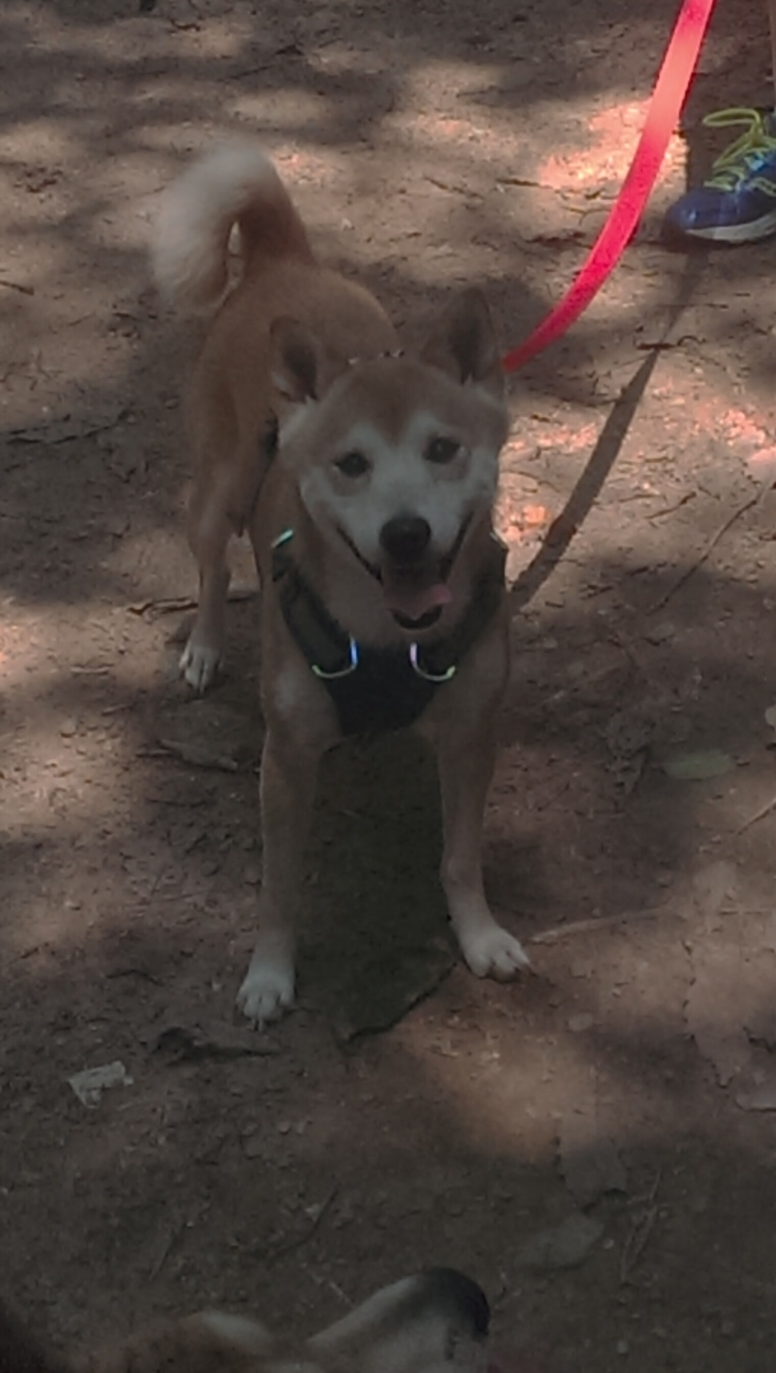 逆转“神迹之夜”：那些逆境中的传奇瞬间，神迹降临