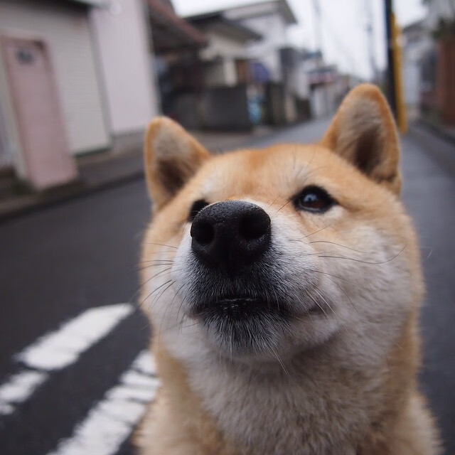 开云官方-女足世界杯热度上升，赛事关注度创新高，女足世界杯受追捧