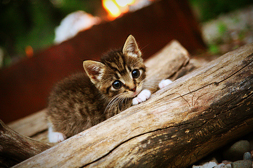 俱乐部战略规划与执行力不足,俱乐部战略规划与执行力不足怎么办
