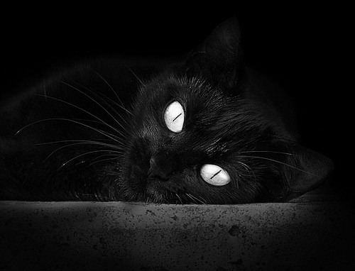 开云体育视频直播-新秀表现超预期球队如何调整计划，新秀球员什么意思