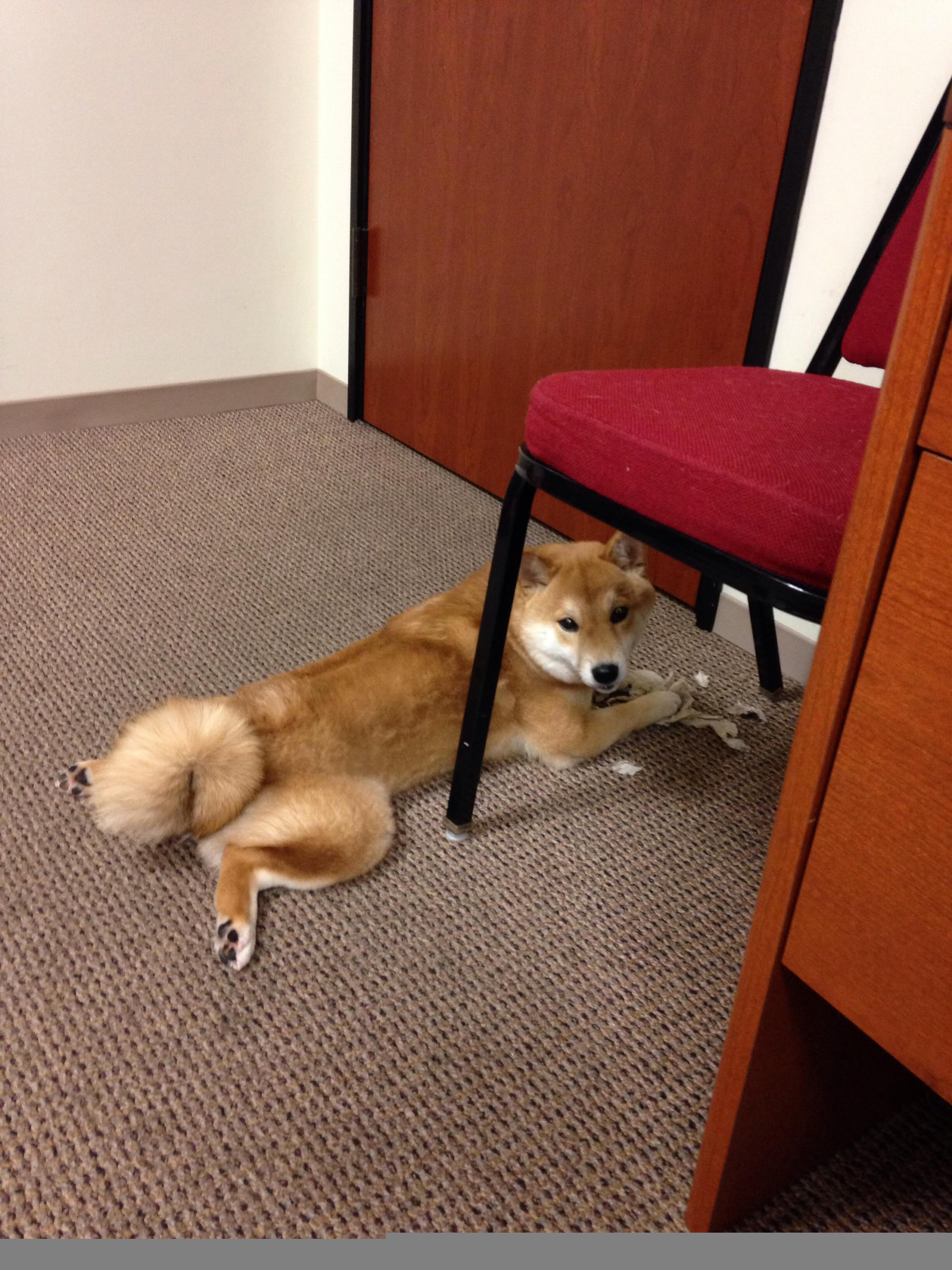 轻艇马拉松为兴隆湖注入动感节奏,兴隆湖半程马拉松官网