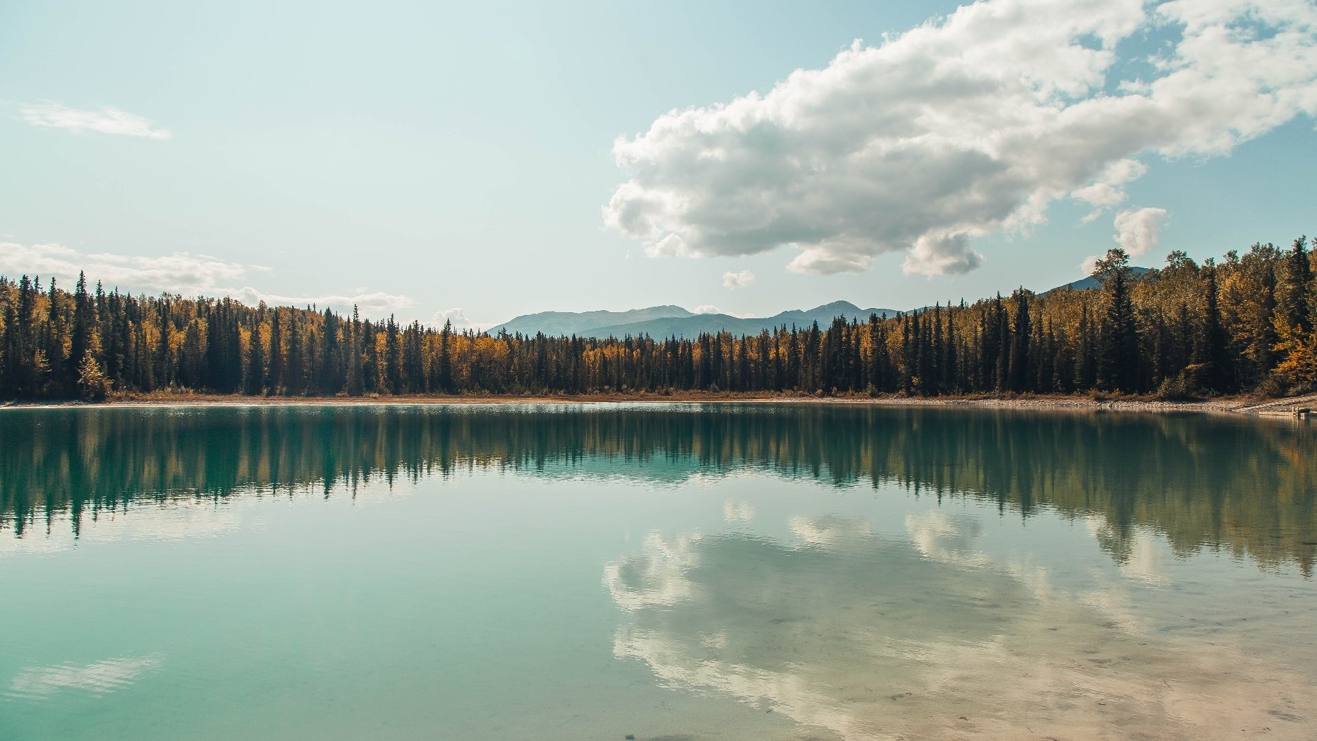 开云网页版-德甲快攻先锋：突破防线即刻得分！，德甲最快速度