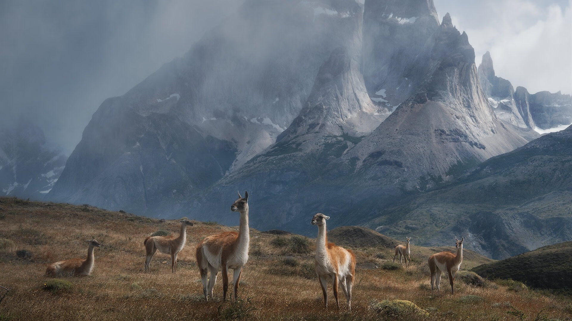 开云官网APP下载-英超冲刺决赛：谁能笑到最后？精彩不断！，英超冲刺速度